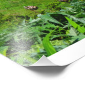 アイルランドコテージホーム フォトプリント            (角)