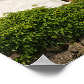 アイルランドコテージ ポスター (角)