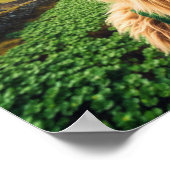 アイルランドサスカッチ ポスター (角)