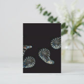 アイルランドデザイン – ザクリスタルコレクション ポストカード (スタンド正面)