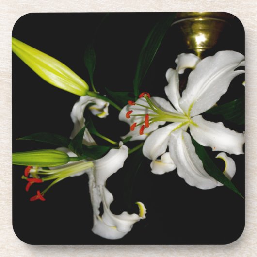 アイルランドデザイン – ザフラワーコレクション コースター (正面)