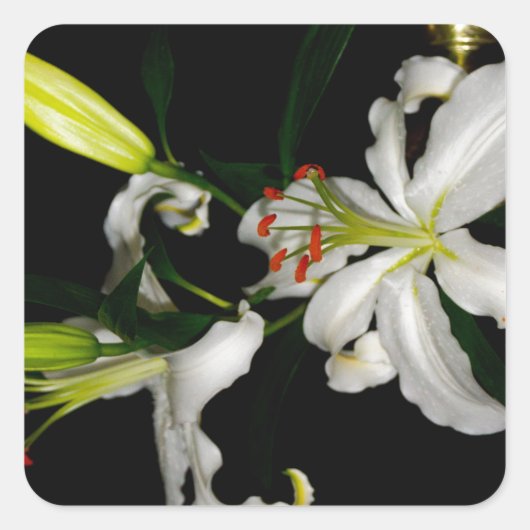 アイルランドデザイン – ザフラワーコレクション スクエアシール (正面)