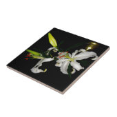 アイルランドデザイン – ザフラワーコレクション タイル (側面)