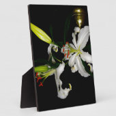 アイルランドデザイン – ザフラワーコレクション フォトプラーク (側面)