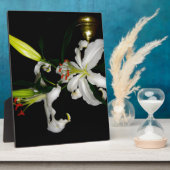 アイルランドデザイン – ザフラワーコレクション フォトプラーク (側面)