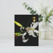 アイルランドデザイン – ザフラワーコレクション ポストカード (スタンド正面)