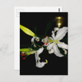 アイルランドデザイン – ザフラワーコレクション ポストカード (正面/裏面)