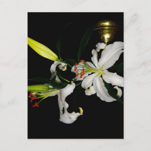 アイルランドデザイン – ザフラワーコレクション ポストカード (正面)