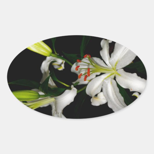 アイルランドデザイン – ザフラワーコレクション 楕円形シール (正面)