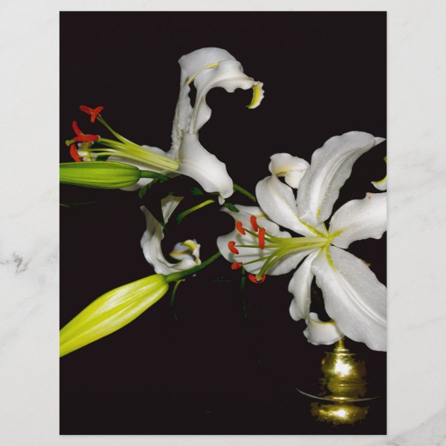 アイルランドデザイン – ブラスとフラワーコレクション (正面)