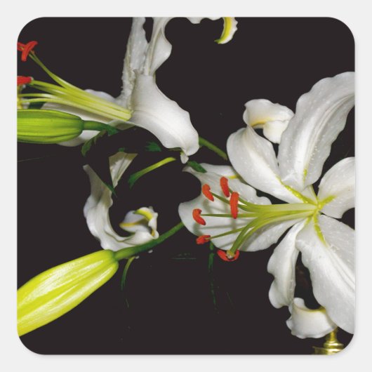 アイルランドデザイン – ブラスとフラワーコレクション スクエアシール (正面)