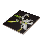 アイルランドデザイン – ブラスとフラワーコレクション タイル (側面)