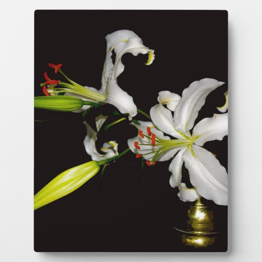 アイルランドデザイン – ブラスとフラワーコレクション フォトプラーク (正面)