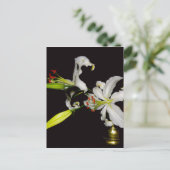 アイルランドデザイン – ブラスとフラワーコレクション ポストカード (スタンド正面)