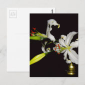 アイルランドデザイン – ブラスとフラワーコレクション ポストカード (正面/裏面)