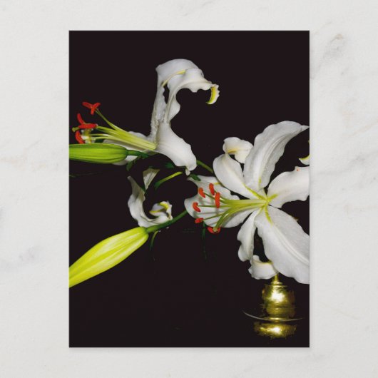 アイルランドデザイン – ブラスとフラワーコレクション ポストカード (正面)