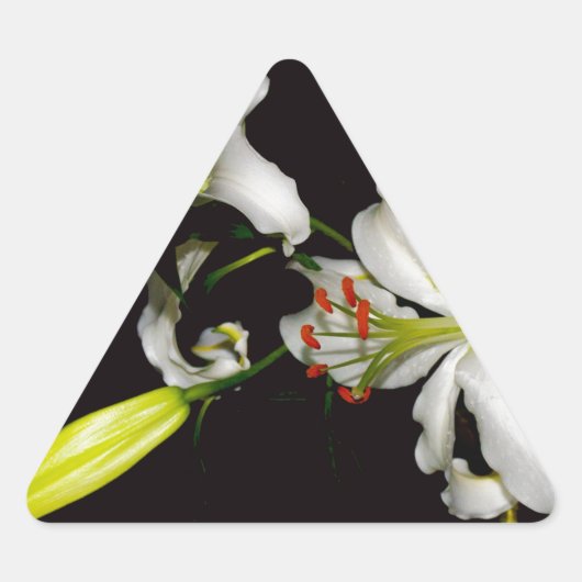 アイルランドデザイン – ブラスとフラワーコレクション 三角形シール (正面)