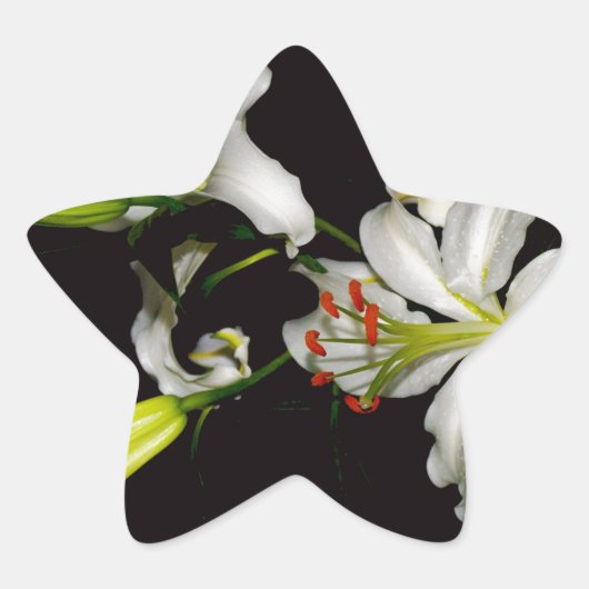 アイルランドデザイン – ブラスとフラワーコレクション 星シール (正面)