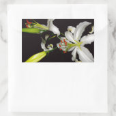 アイルランドデザイン – ブラスとフラワーコレクション 長方形シール (バッグ)