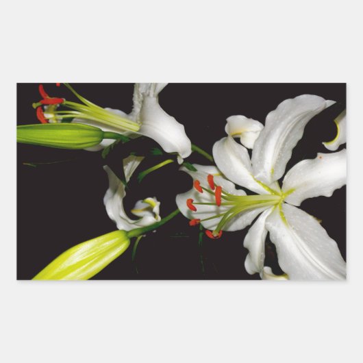 アイルランドデザイン – ブラスとフラワーコレクション 長方形シール (正面)