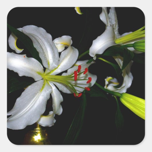 アイルランドデザイン – ブラスとフラワーデザイン スクエアシール (正面)