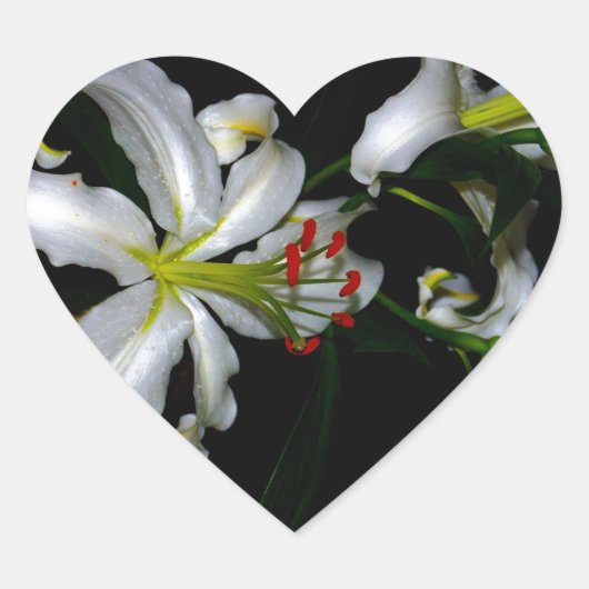 アイルランドデザイン – ブラスとフラワーデザイン ハートシール (正面)