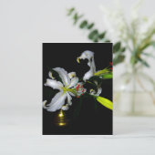 アイルランドデザイン – ブラスとフラワーデザイン ポストカード (スタンド正面)