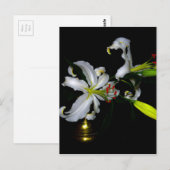 アイルランドデザイン – ブラスとフラワーデザイン ポストカード (正面/裏面)