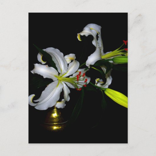 アイルランドデザイン – ブラスとフラワーデザイン ポストカード (正面)