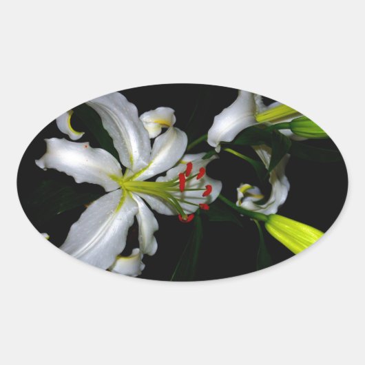 アイルランドデザイン – ブラスとフラワーデザイン 楕円形シール (正面)