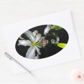 アイルランドデザイン – ブラスとフラワーデザイン 楕円形シール (封筒)