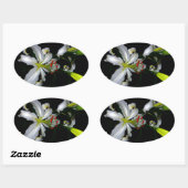 アイルランドデザイン – ブラスとフラワーデザイン 楕円形シール (シート)