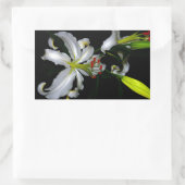 アイルランドデザイン – ブラスとフラワーデザイン 長方形シール (バッグ)