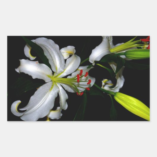 アイルランドデザイン – ブラスとフラワーデザイン 長方形シール (正面)