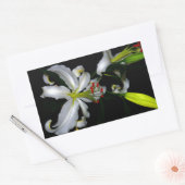 アイルランドデザイン – ブラスとフラワーデザイン 長方形シール (封筒)