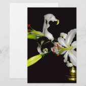 アイルランドデザイン 真鍮とフラワーのコレクション 便箋 (正面/裏面)
