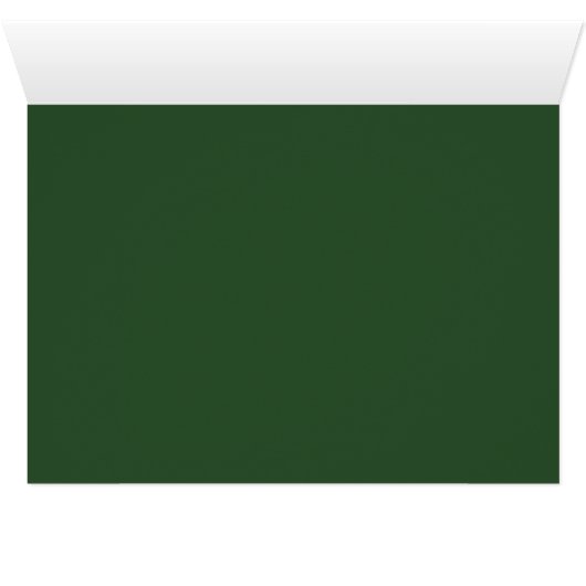 アイルランドバラ (内部横(下))