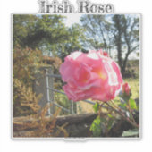 アイルランドバラ シール (正面)