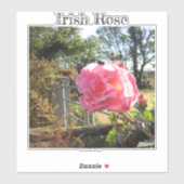 アイルランドバラ シール (シート)