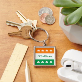 アイルランドパーソナライズされた名アイルランド国旗の色 キーホルダー