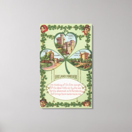 アイルランドフォーエバー – コルクとキラーニーの城 キャンバスプリント (正面)