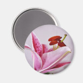 アイルランドフローラ磁石 マグネット (正面/裏面)