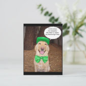 アイルランドラボことわざ ポストカード (スタンド正面)