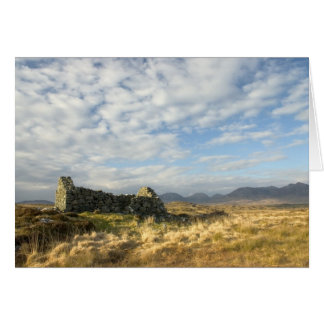 アイルランド人の台なし