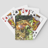 「アイルランド人の幸運が！」 トランプ (裏面)