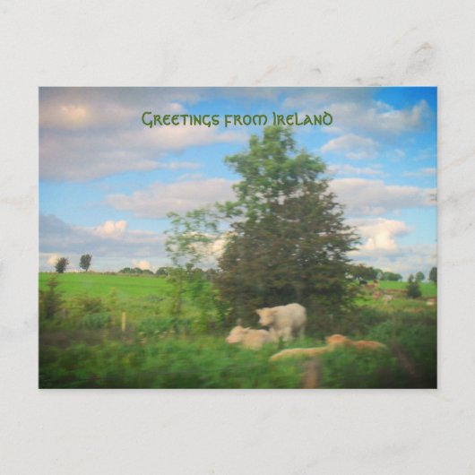 アイルランド写真より ポストカード (正面)