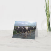 アイルランド写真 カード (正面)