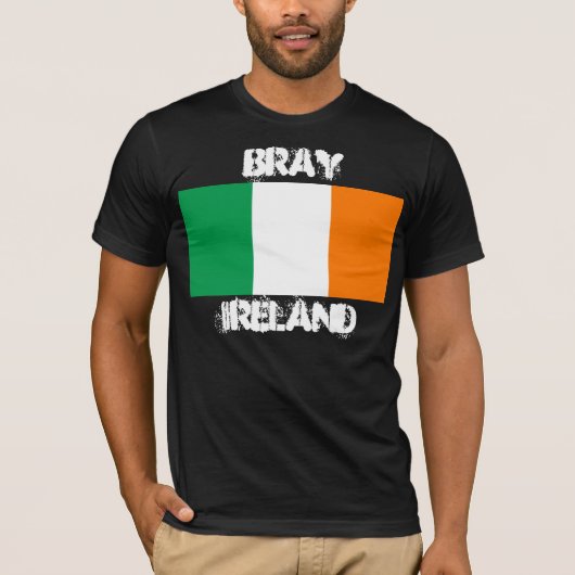 アイルランド国旗を持つアイルランドのバリー Tシャツ (正面)
