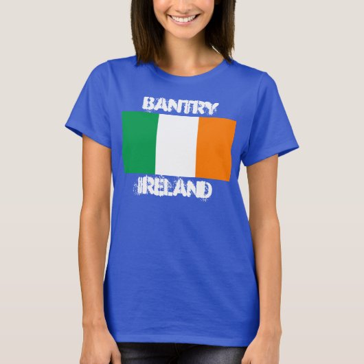 アイルランド国旗を持つアイルランドの銀行業界 Tシャツ (正面)