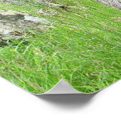 アイルランド墓地 ポスター (角)